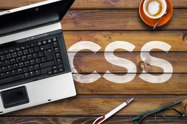CSS logo